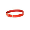 Ceinture basique Rouge à boucle argentée. BG-P0Z9