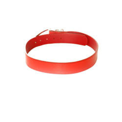 Ceinture basique Rouge à boucle argentée. BG-P0Z9