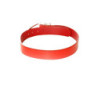 Ceinture basique Rouge à boucle argentée. BG-P0Z9