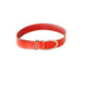 Ceinture basique Rouge à boucle argentée. BG-P0Z9