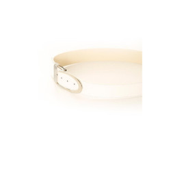 Ceinture basique  Blanc à boucle argentée. BG-P0Z9