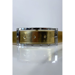 Ceinture doré avec boucle rectangle strass et argenté
